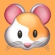 青桃视频APP应用