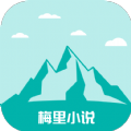 91浏览器APP应用