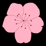 www.91comAPP应用